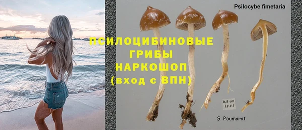 таблы Алзамай