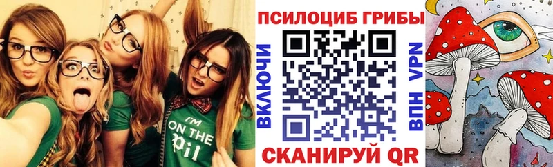 Псилоцибиновые грибы GOLDEN TEACHER  купить наркотик  кракен рабочий сайт  Тбилисская 