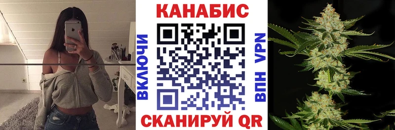 Канабис OG Kush Тбилисская